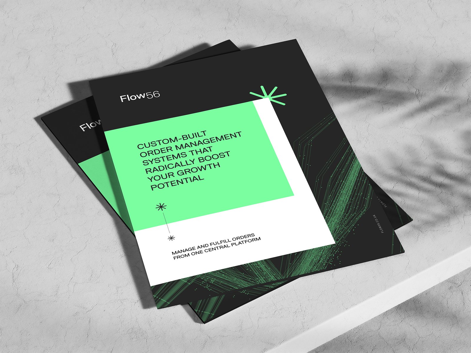 flow-56-image-full-4